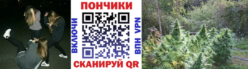 Бошки марихуана конопля  блэк спрут вход  Анива 